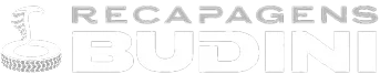 Recapagens Budini